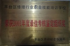 男人鸡鸡插女人视频